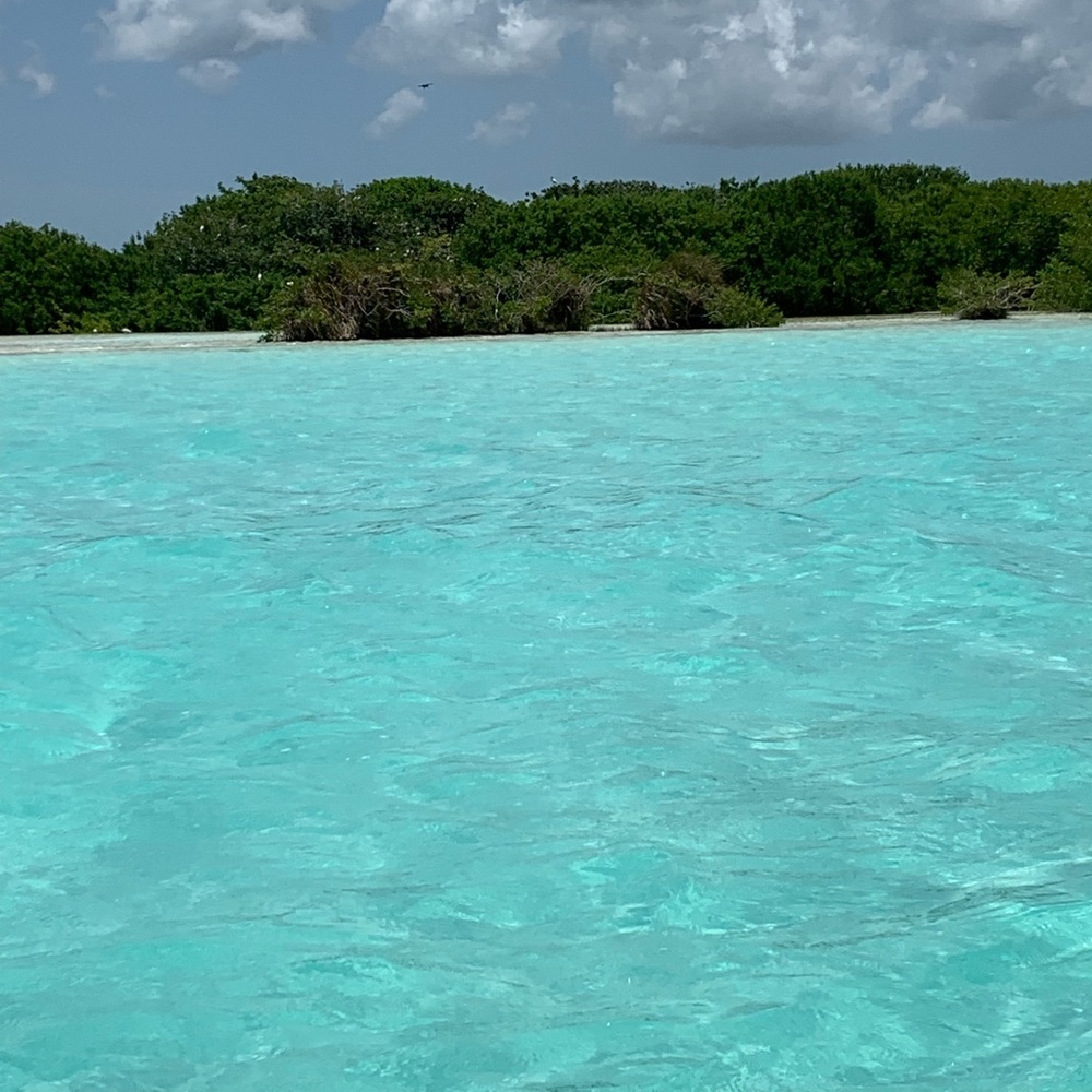 Meet your Posher, Robles